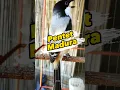 Download Lagu pentet Madura #pentet #pentetgacor #cendet