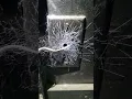 What This Home Inspector Found in THIS Garage Will Shock You