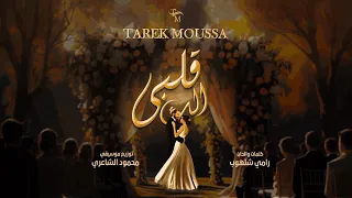                                         طارق موسى   قلبي الك دندنها