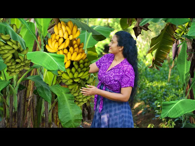 Download MP3 Delicious sweets from my father's banana harvest | Poorna - The nature girl