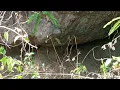 Download Lagu Vloger Alam!! Pemandangan Pedesaan dari Atas bukit bikin betah tinggal@Walking-jalan