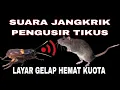 Download Lagu Suara Jangkrik Pengusir Tikus || Layar gelap hemat kuota