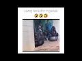 Terobos ajalah anying #videolucu #monyet #ytshorts
