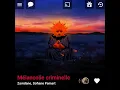 Zamdane, Sofiane Pamart - Mélancolie criminelle ( Version Skyrock )