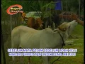 Download Lagu El Surayya -  Menempuh Hidup
