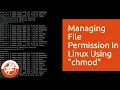 023 - How To Manage File Permission In Linux Linux For Beginners