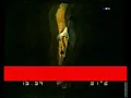 Los Gatos Salvajes - La Respuesta - 1965