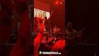 BURNING SPEAR PEOPLE! BURNING SPEAR 🔥 LIVE in Utrecht, Netherlands @ TivoliVredenburg 9/3/ 2026