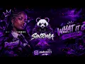 DOECHII - WHAT IT IS - SOLO VERSION E SPEED ( SINTONIA X ) COM GRAVE