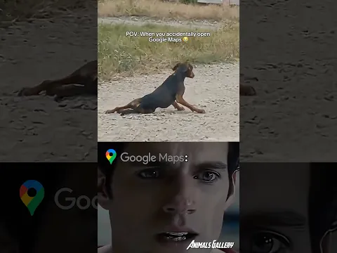 When you accidentally opened Google Maps 😭