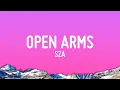 Download Lagu SZA - Open Arms (Just SZA)