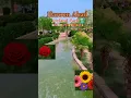 Download Lagu #surah Rehman#quranforsleep #suratarrahman #duet #flowers