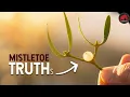 Mistletoes Explained Why it s Cooler Than You Know