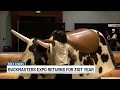 Buckmasters Expo returns for 31st year
