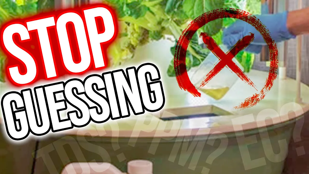 Video thumbnail from Humble Growth