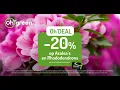 Download Lagu -20% op Azalea's en Rhododendrons