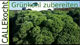 Leckere Rezepte für Grünkohl | Grünkohl zubereiten So lecker und gesund er auch ist: Grünkohl ist ei. 