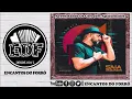 Download Lagu Banda Saia Rodada - Volume 17