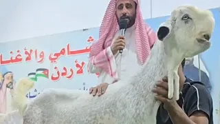  المزاد الاول في الاردن   و العالم للماعز الشامي  عروض مميزه جدا ﷺ مدير المزاديحيى ابوجابر           دندنها