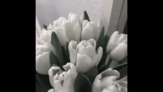 Dua Lipa New Rules Speed Up 