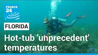 Hot-tub level Florida ocean records unprecedent temperatures FRANCE 24 English