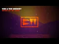 VIZE & Tom Gregory - Never Let Me Down