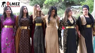 MEDENİ MİLCAN DÜĞÜNÜ GEREMUS YARMA ANDAÇ GOVENDA MILANE ŞİYAR BERWARİ 