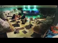 Odysea Aquarium offering virtual animal encounters FOX 10 News