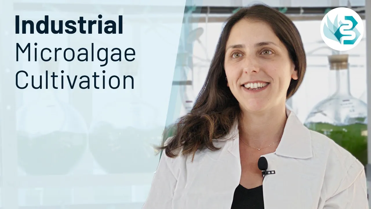 Let’s Talk About Microalgae, Their Cultivation and Quirks With Dr. Carneiro