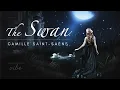 Download Lagu The Swan - Saint-Saëns extended (1 hour)