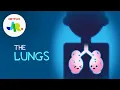 What Are Lungs StoryBots The Human Body for Kids Netflix Jr