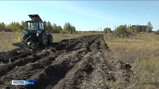 В Омске обустроили более 100 километров минерализированных полос
