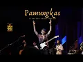 Download Lagu Pamungkas - I Love You But I'm Letting You Go | Live at JavaJazz (JJF) 2020