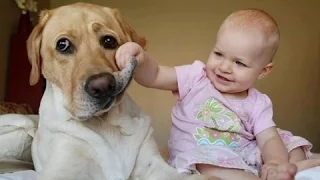 cutest babies laughing compilation video you will ever see 