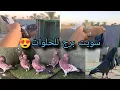 Download Lagu سويت برج للحلوات 😍 وبقيت بس القافلات بي راح انبلش نهزمهن #ريجو اقرا اول تعليق