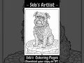 Small Dogs Coloring Pages Relaxing Coloring Book with Dog Breeds Designs for Adults Relaxation