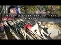 Download Lagu Kerja seharian sampai terkapar di atas tumpukan kayu warta petani muda hidup di hutan