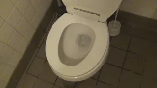 4 1 28 GPF Project Source Toilet
