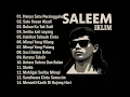 Download Lagu Full Album Saleem Iklim | Lagu Malaysia Lama Populer Sepanjang Masa 