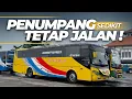 Lagu SALUT, WALAUPUN PENUMPANG NYA SEPI TAPI MASIH TETAP JALAN! Trip Naik Bus CWM Probolinggo - Surabaya 