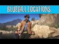 Red Dead Redemption II Bluegill Locations