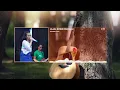 Download Lagu Syahiba Saufa - Jajal Kowe Dadi Aku - (Karaoke)