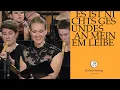 Download Lagu J.S. Bach - Cantata BWV 25 \
