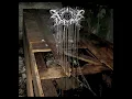 Screaming at Forgotten Fears (2007) - Xasthur