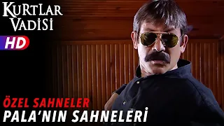 Download Pala Sahneleri - Kurtlar Vadisi | Özel Sahneler MP3