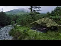 Download Lagu Sendirian di Hutan Pegunungan | Berkemah Liar dengan Tentara Inggris Basha