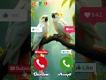 Download Lagu Ringtone sounds good 😊👍😊#ringtone @CEOCATI-B