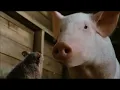 Charlotte s Web Templeton Saves Charlotte s Egg Sac