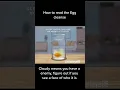 How to Read a Egg Cleanse