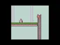 Must rescue the baby Capybara Playing Capybara quest